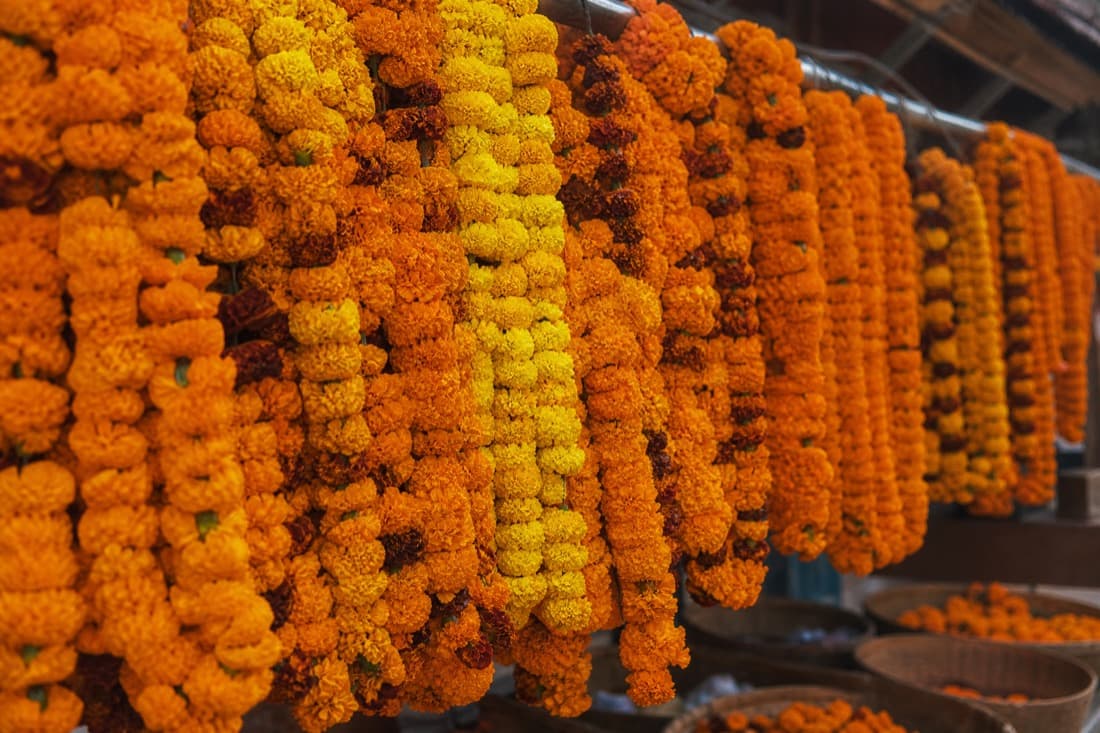 How to Book a Helicopter to Char Dham from Madurai: Your Ultimate Guide